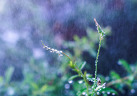 意甲：米兰名宿卡卡接受采访时表示，希望未来有机会管理一家足球俱乐部