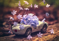 6连败夜炸锅！0分垫底，62岁穆帅怒堵裁判，欧冠神迹能否翻盘